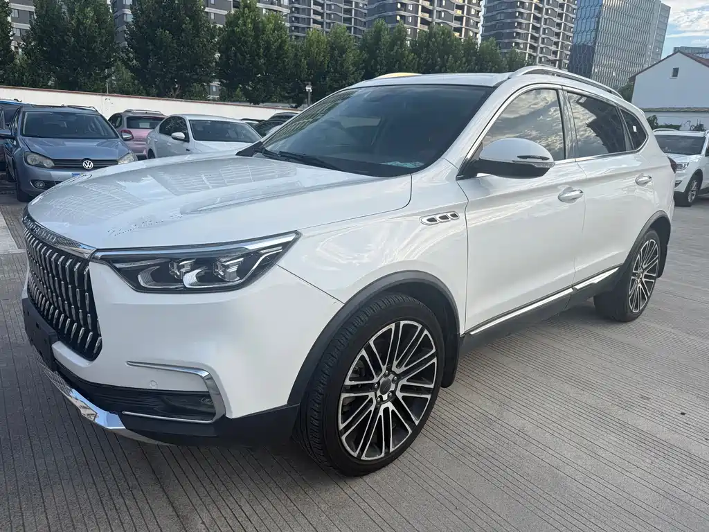 Leopaard Mattu — миниатюра 2
