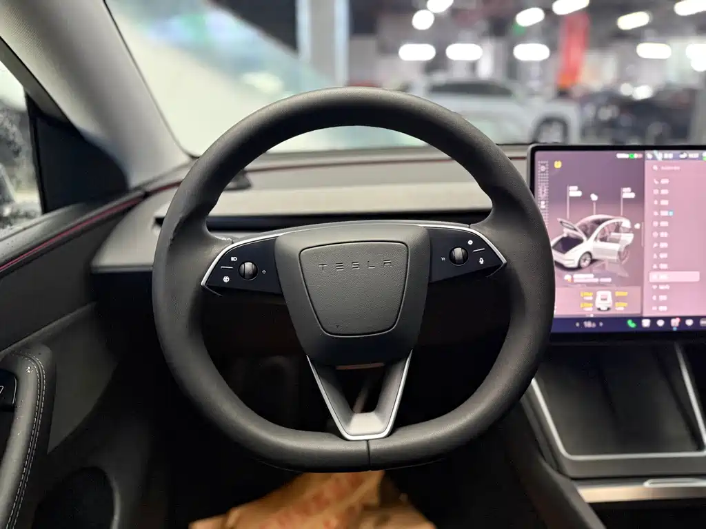 Tesla Model Y — миниатюра 13