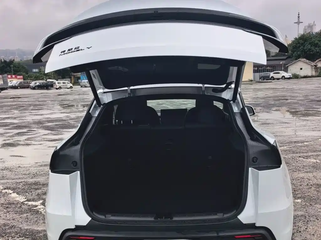 Tesla Model Y — миниатюра 15