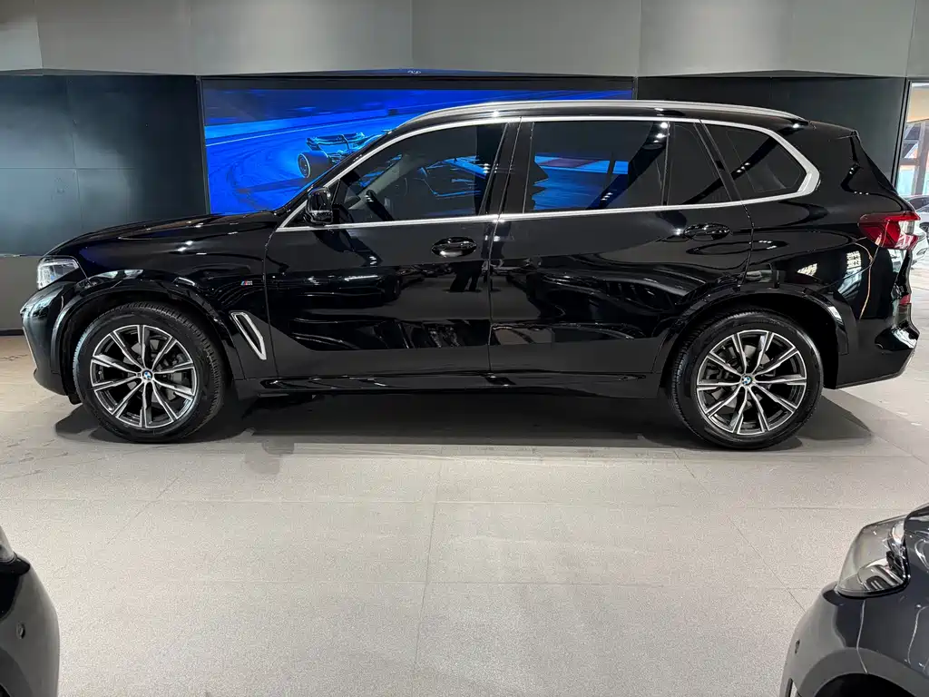 BMW X5 2022 xDrive 30Li Premium M Sport