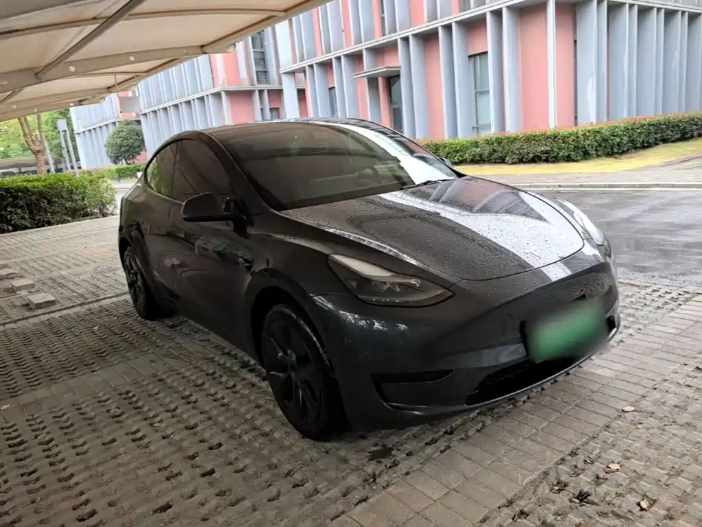 Tesla Model Y — миниатюра 4
