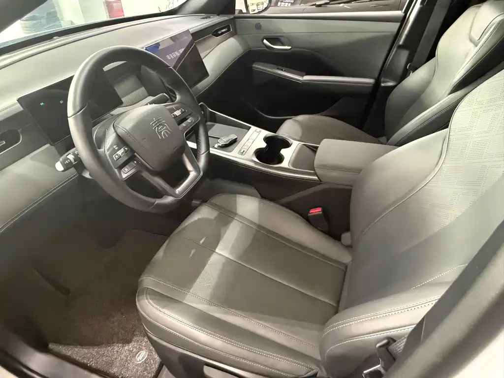 BYD Qin PLUS - фото 5