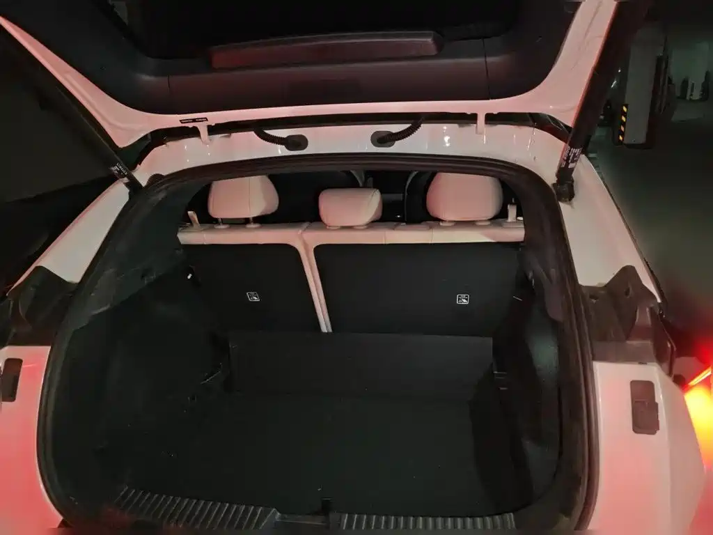 Lynk & Co Z20 — миниатюра 15