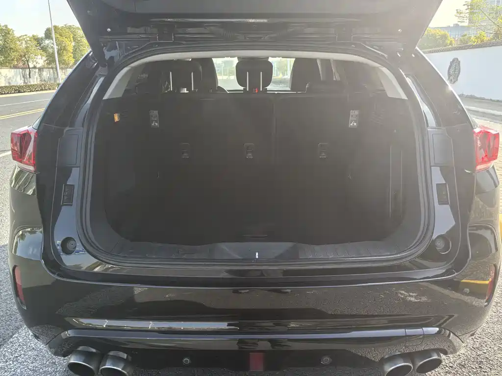 WEI PAI WEI BRAND VV7