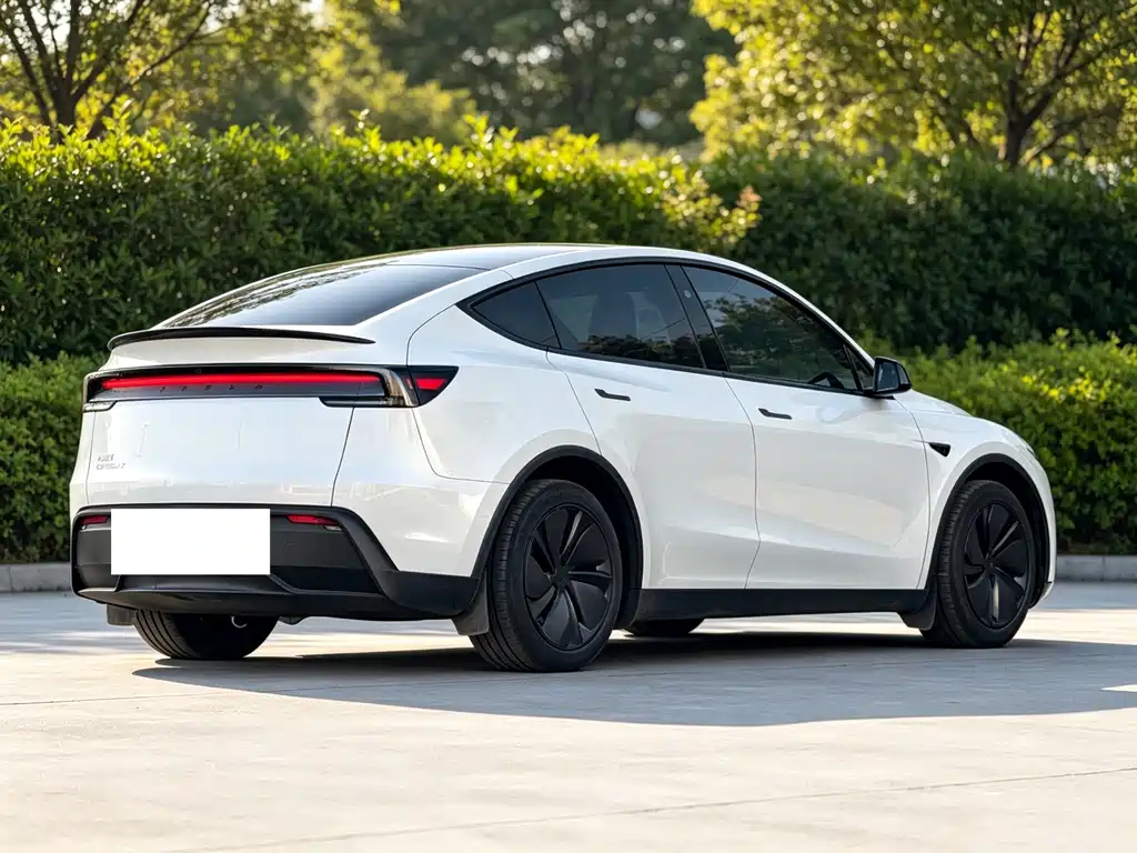 Tesla Model Y — миниатюра 18