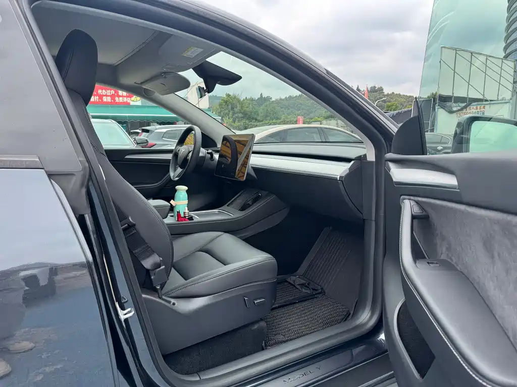 Tesla Model Y — миниатюра 4