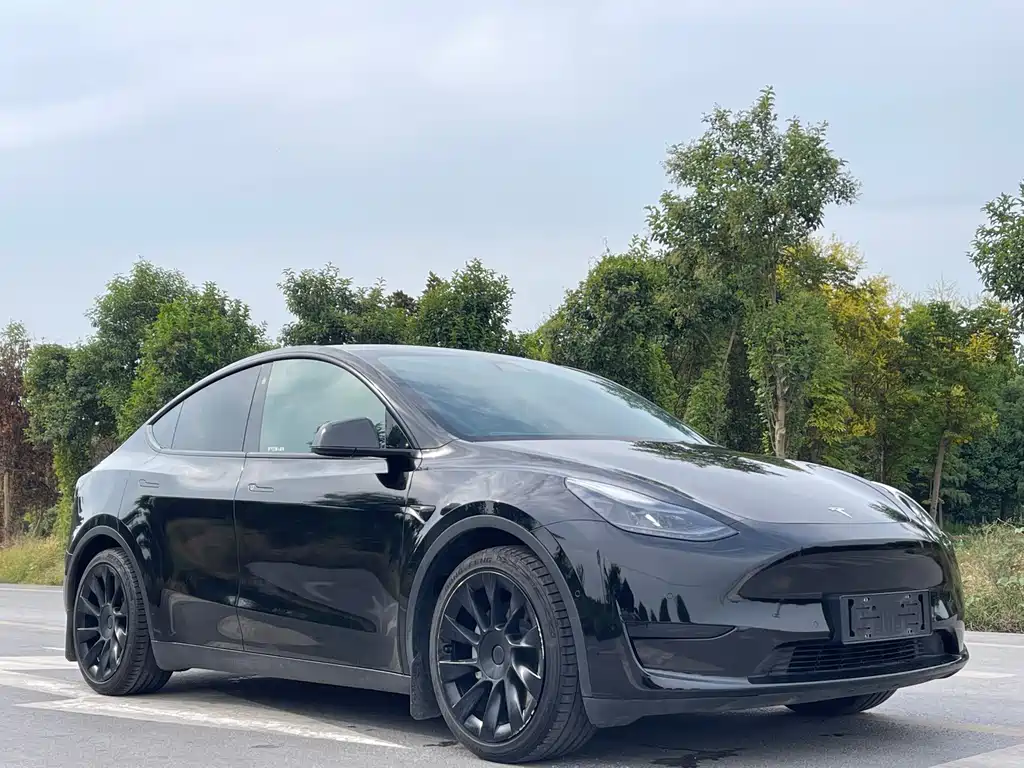 Tesla Model Y — миниатюра 3