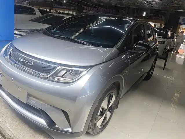 2023 BYD Dolphin