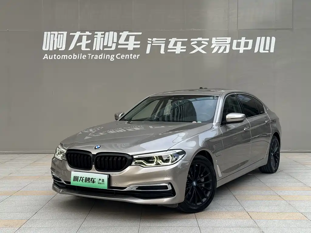 BMW 5 Series 5 2019 530Le Luxury
