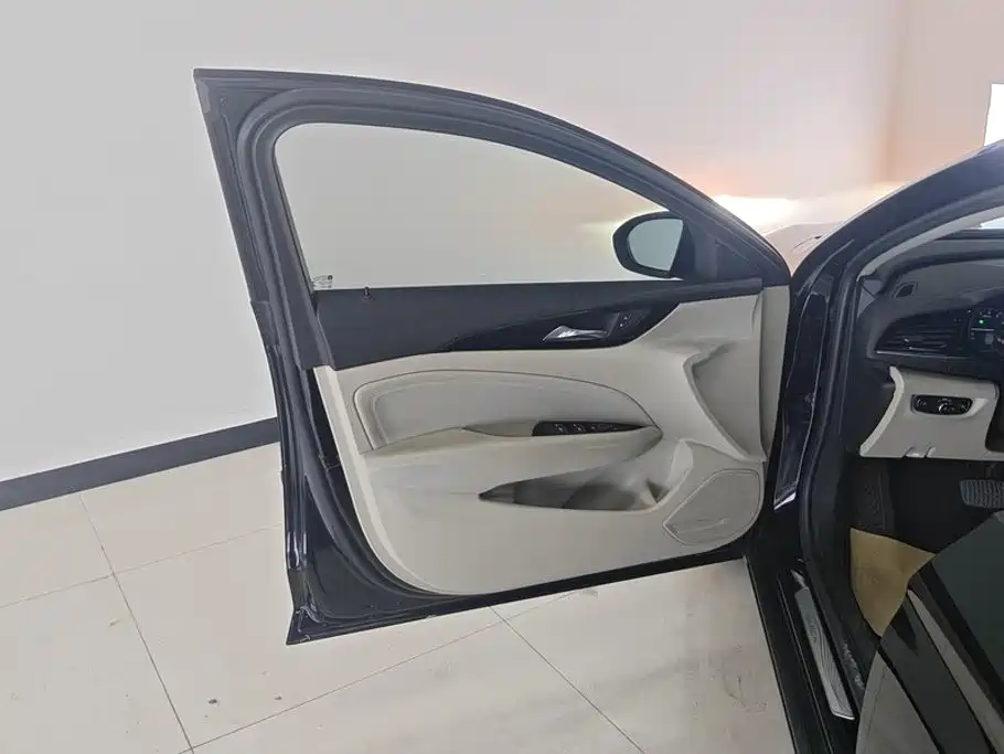 Buick Regal — миниатюра 7