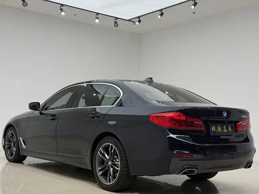 BMW 5 Series — миниатюра 13