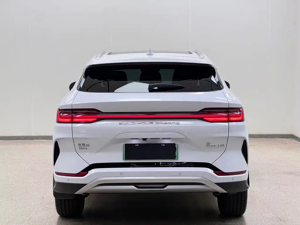 BYD PLUS New Energy — миниатюра 5