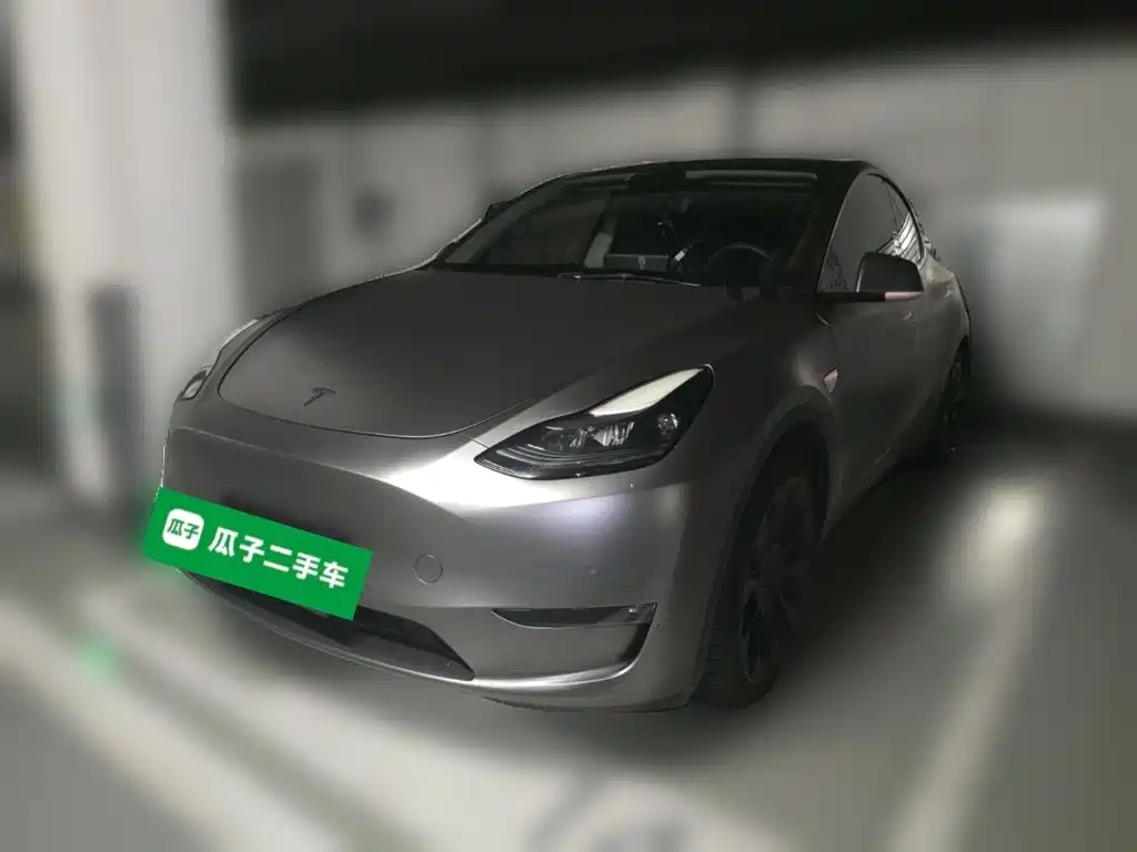 Tesla Model Y — миниатюра 2