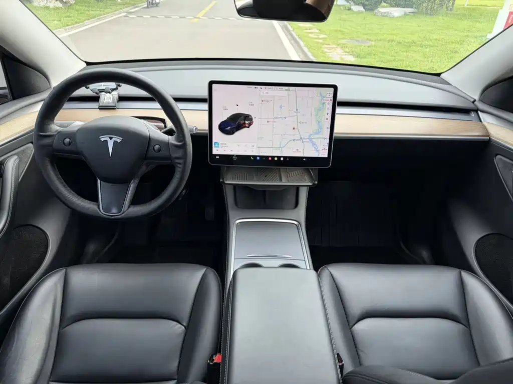 Tesla Model Y — миниатюра 8