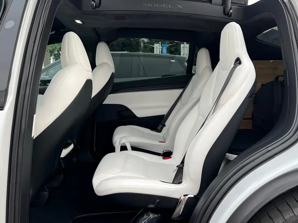 Tesla Model X — миниатюра 7