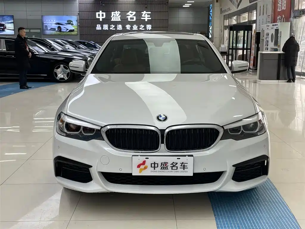 BMW 5 SERIES