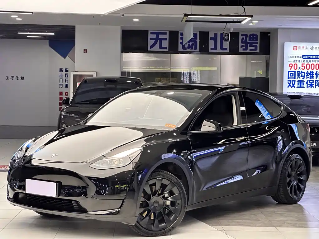Tesla Model Y — миниатюра 2