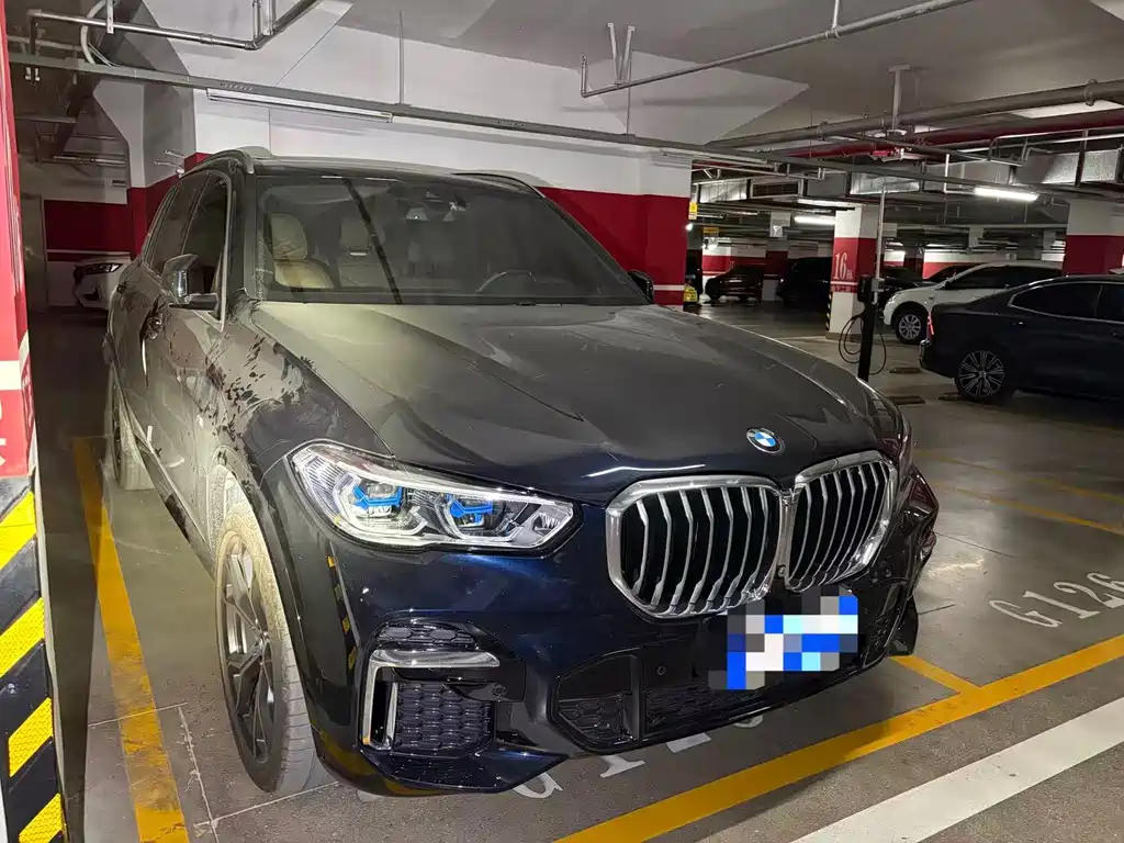 BMW X5 — миниатюра 2