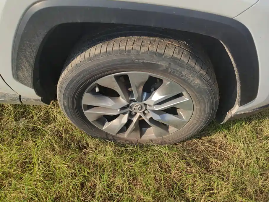 Toyota Wildlander — миниатюра 6