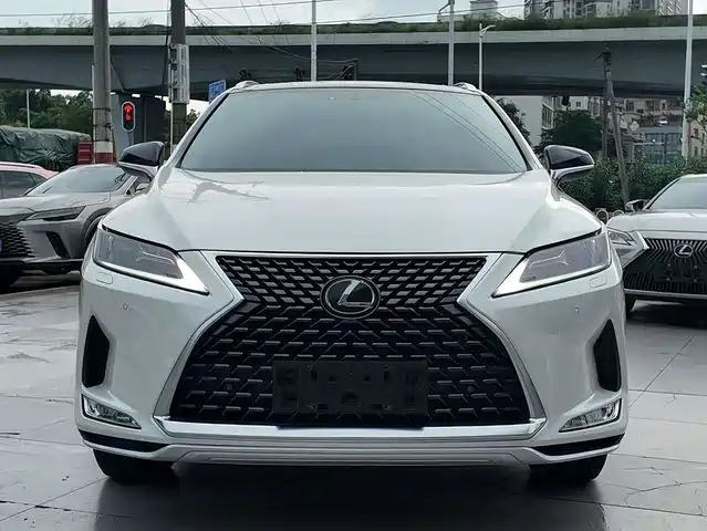 Lexus RX 2020 300 2 WD VI — фото 1