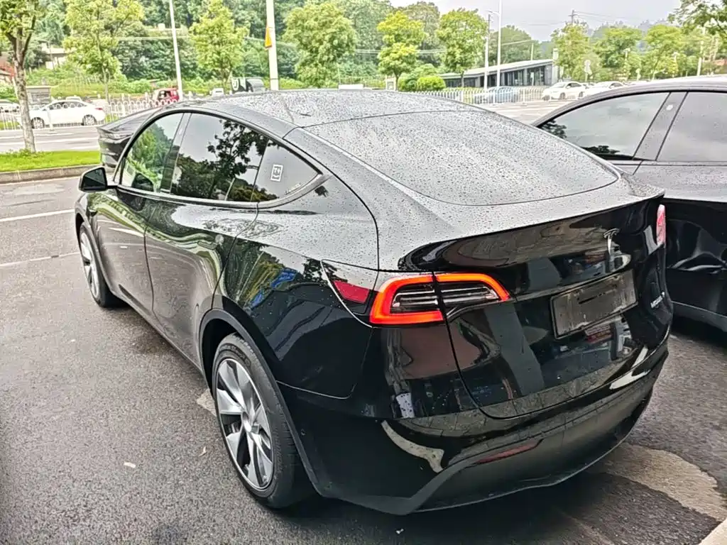 Tesla Model Y — миниатюра 5