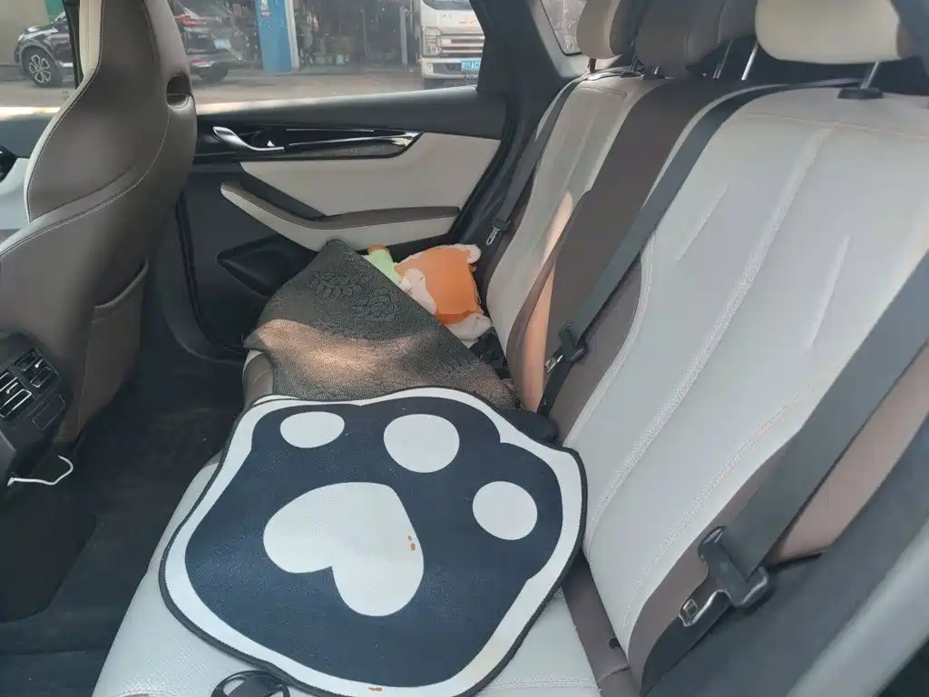 BYD Qin PLUS — миниатюра 13