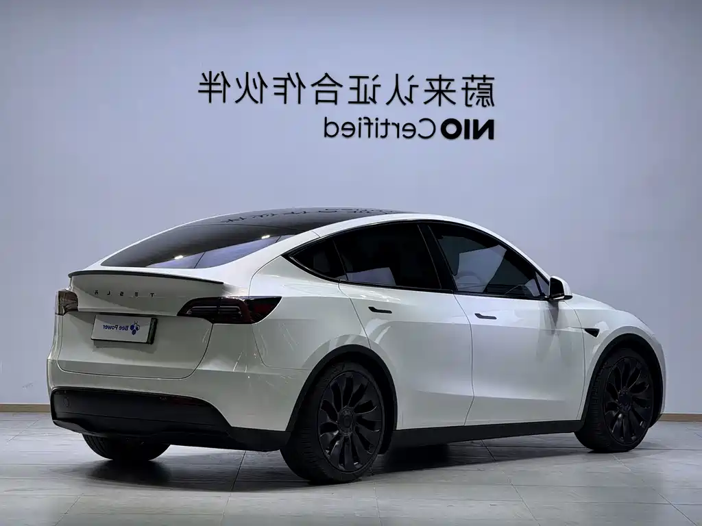 Tesla Model Y — миниатюра 6