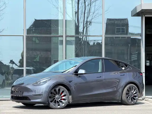 TESLA MODEL Y 2021