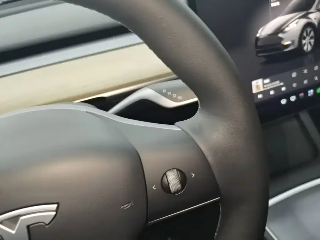 Tesla Model Y — миниатюра 14