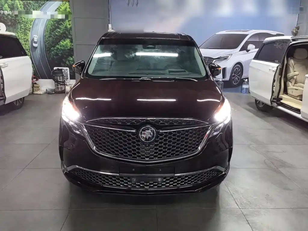 Buick GL8 — миниатюра 3