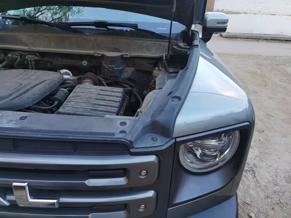 Haval Menglong New Energy — миниатюра 22