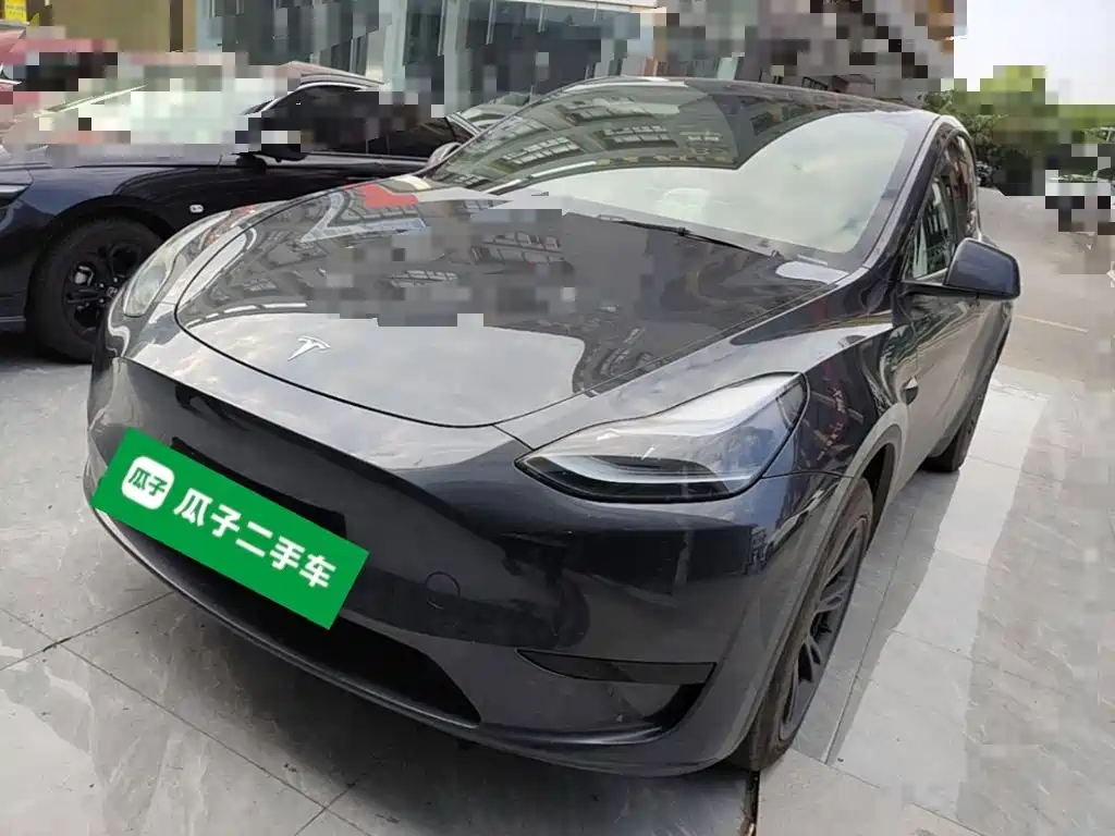Tesla Model Y — миниатюра 2