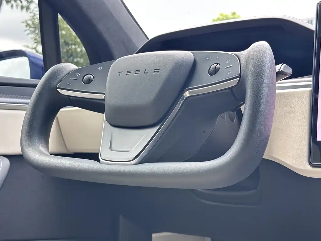 Tesla Model X — миниатюра 21