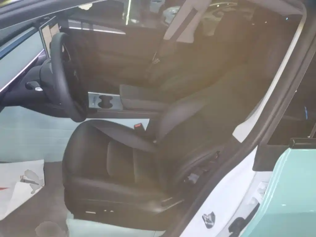 Tesla Model Y — миниатюра 15