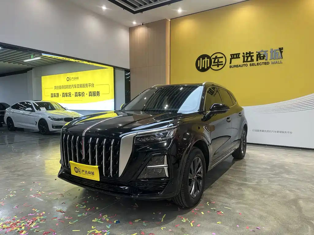 Купить Hongqi Hongqi HS5