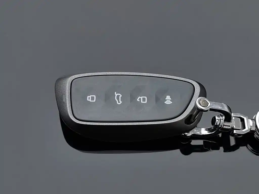 Haval Big Dog PLUS New Energy — миниатюра 19
