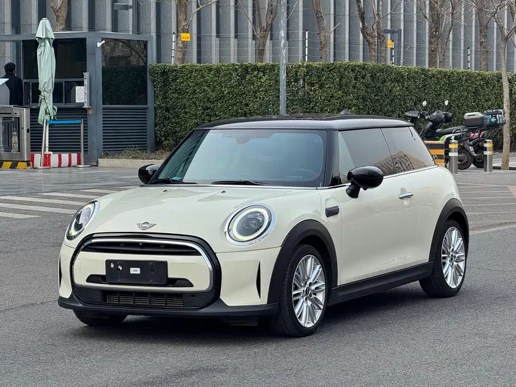 Mini Mini 2021