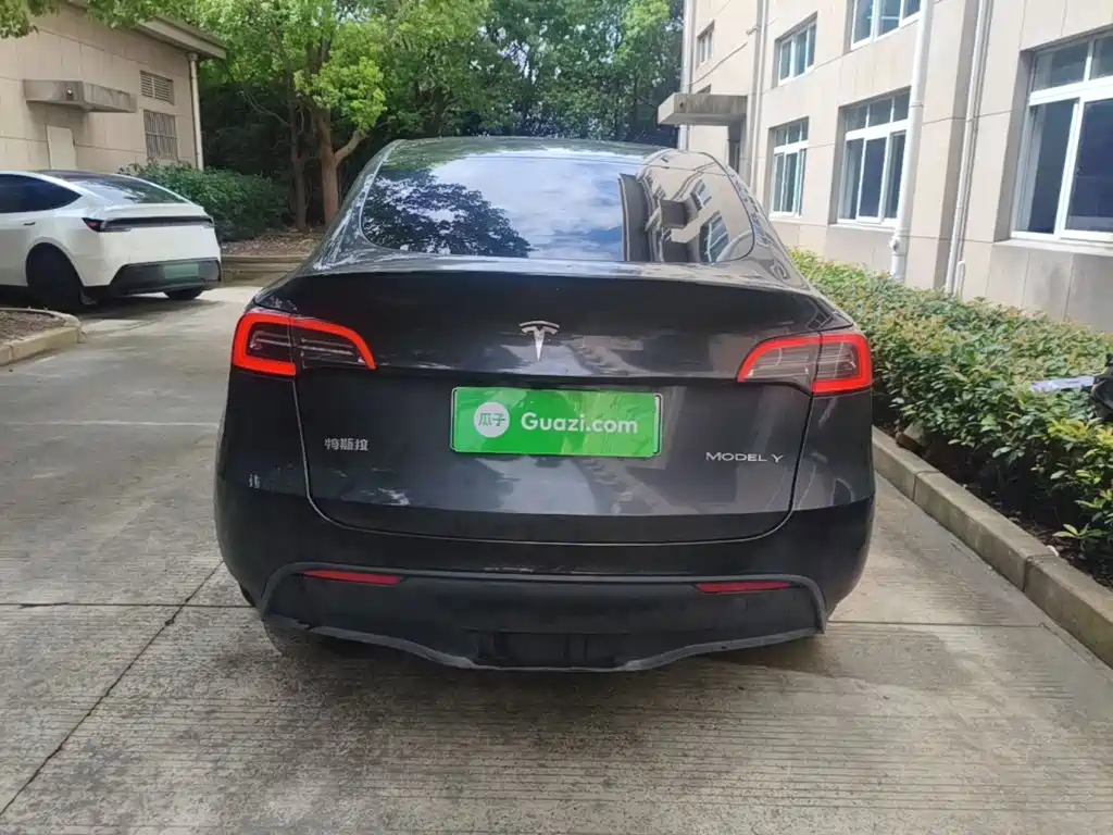 Tesla Model Y — миниатюра 6