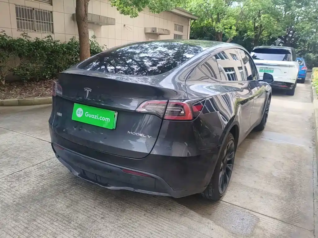 Tesla Model Y — миниатюра 7