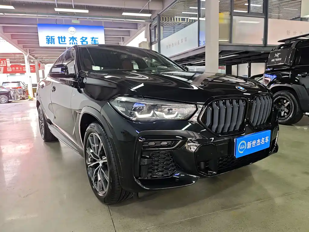 BMW X6 — миниатюра 3