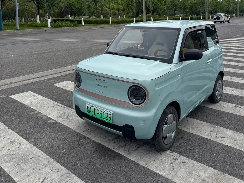Galaxy Panda 2024