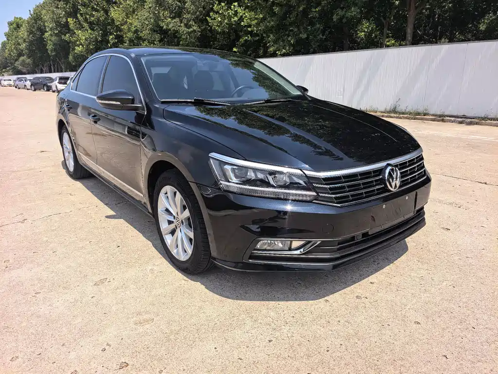 Volkswagen Passat 330TSI DSG Royal Premium Edition, фото 3