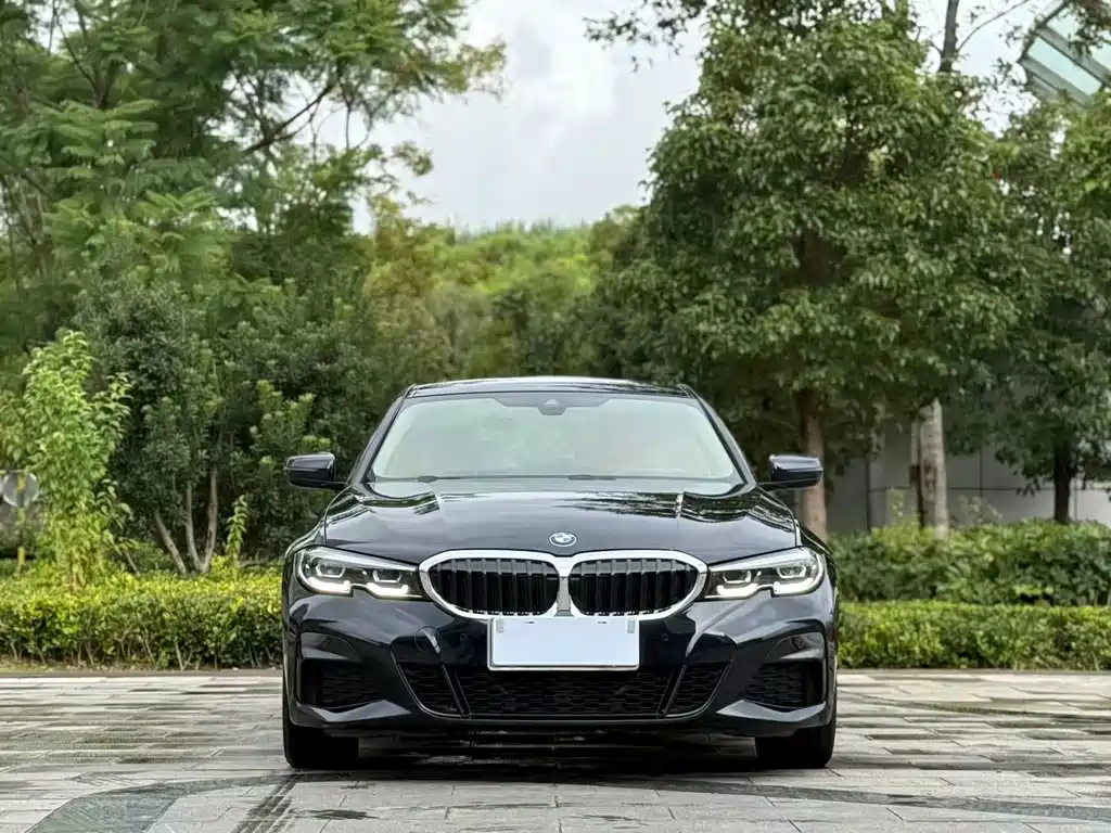 BMW 3 Series 3 2020 325Li M Sport
