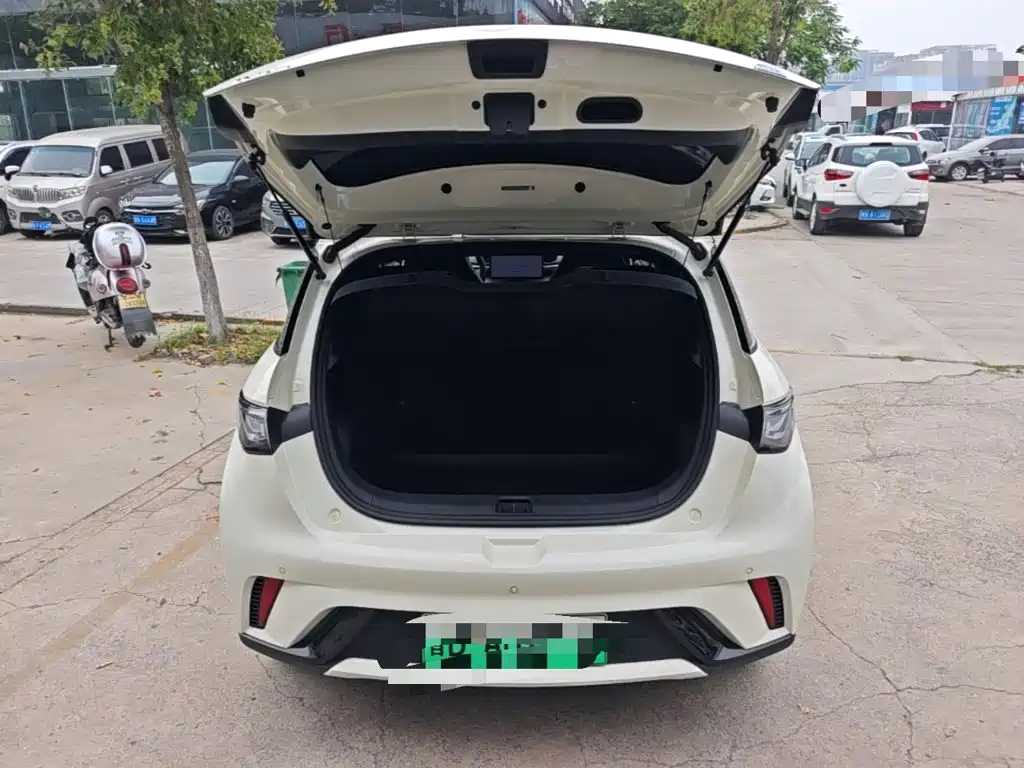 BYD Dolphin — миниатюра 19