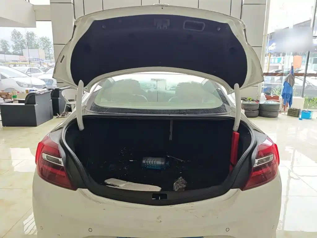 Buick Regal — миниатюра 19