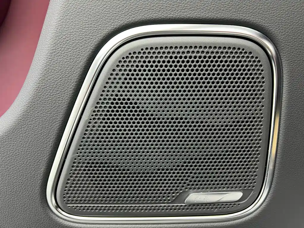 Hongqi E-HS9 2022 660km мест