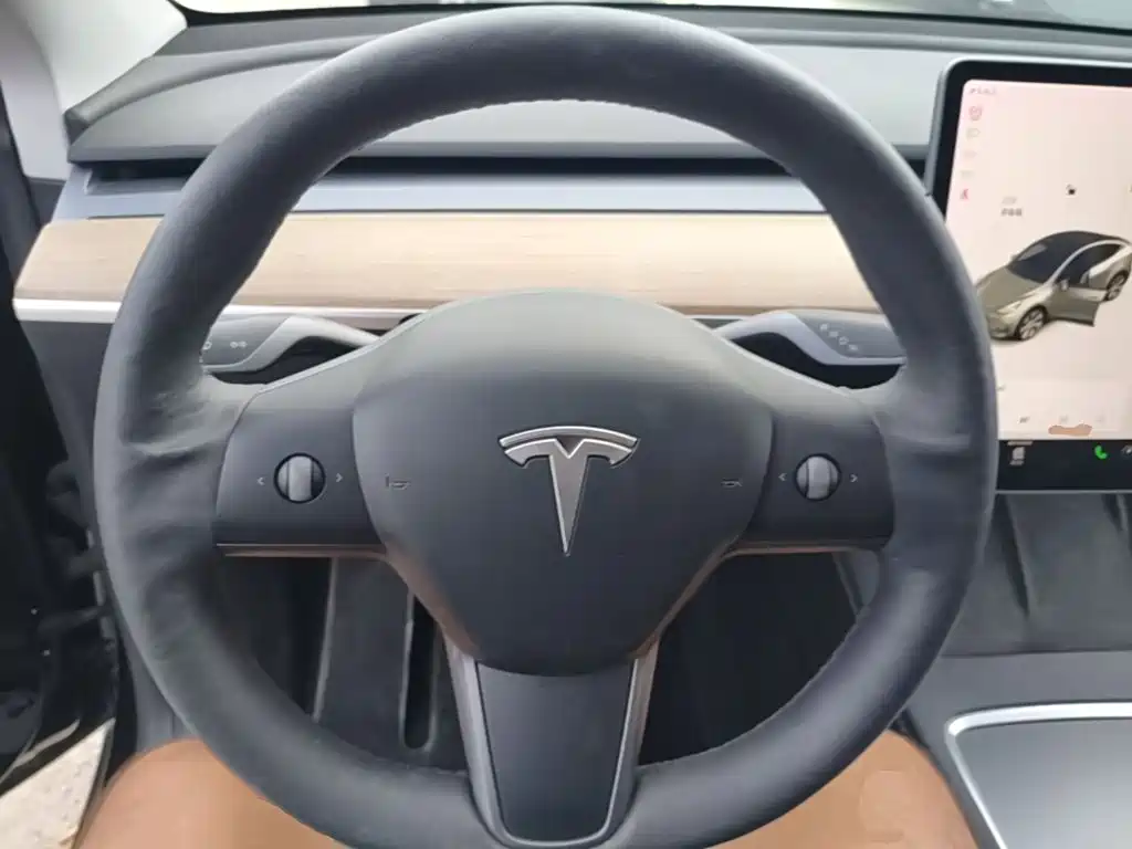 Tesla Model Y — миниатюра 11