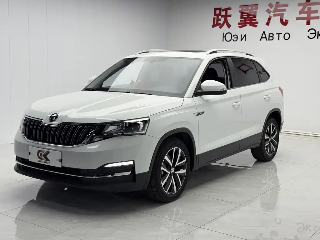Купить Skoda Kamiq