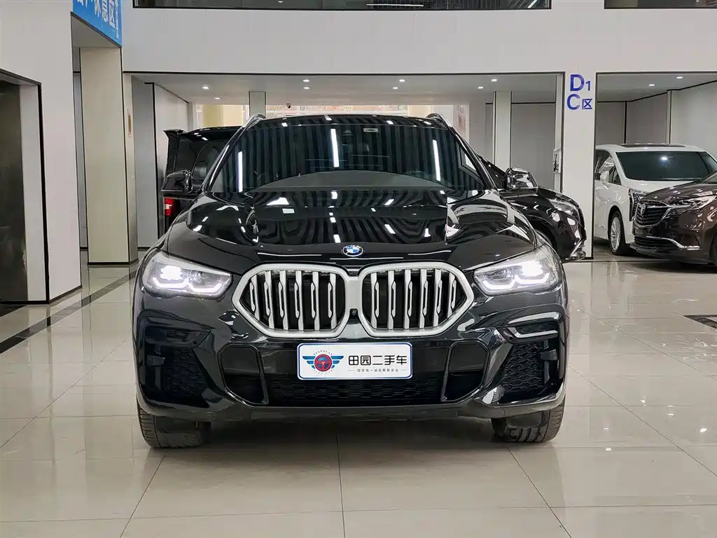 BMW X6