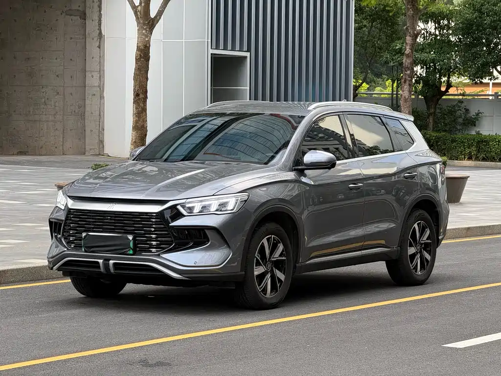 BYD Pro New Energy 2024